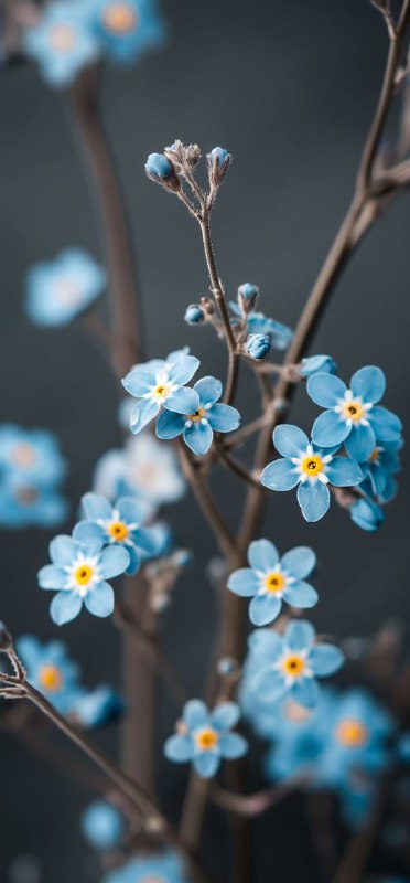 很喜欢的两张壁纸很喜欢的两张壁纸