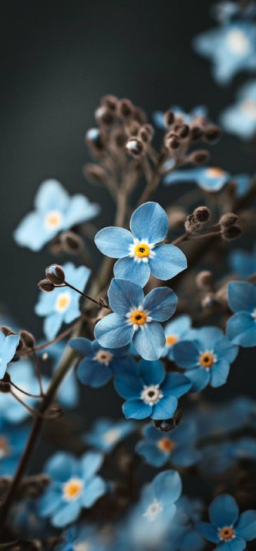 很喜欢的两张壁纸很喜欢的两张壁纸